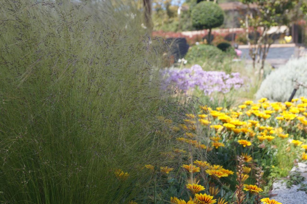 Les Jardins De Santa Giulia - Charmante Chambre D'Hote 2 Porto-Vecchio  Kültér fotó